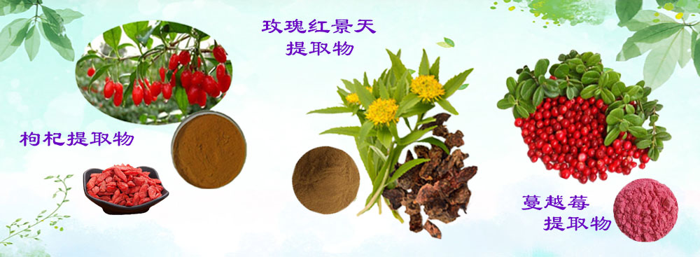 大企業(yè)的業(yè)績 和XX企業(yè)有很好的合作關(guān)系